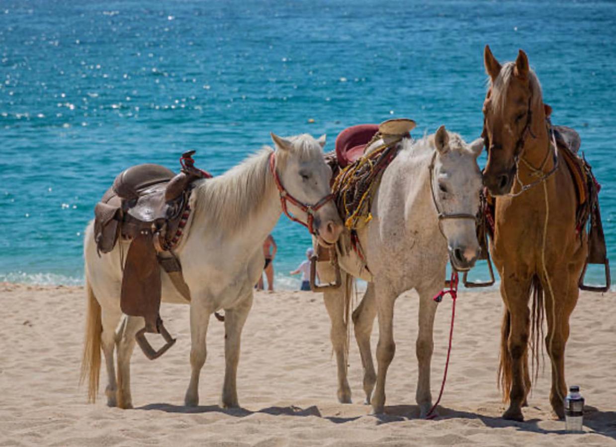 Baja Fest Rosarito Beach Bungalow Διαμέρισμα Εξωτερικό φωτογραφία
